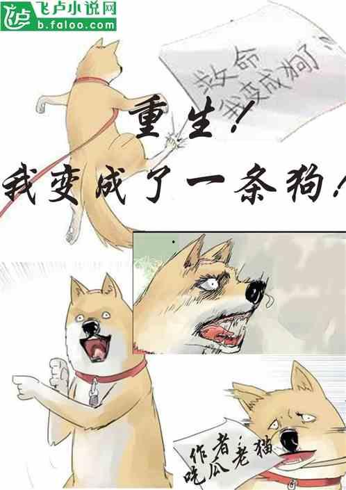 娱乐圈猫猫吃瓜小说,猫猫吃瓜，揭秘明星背后的秘密